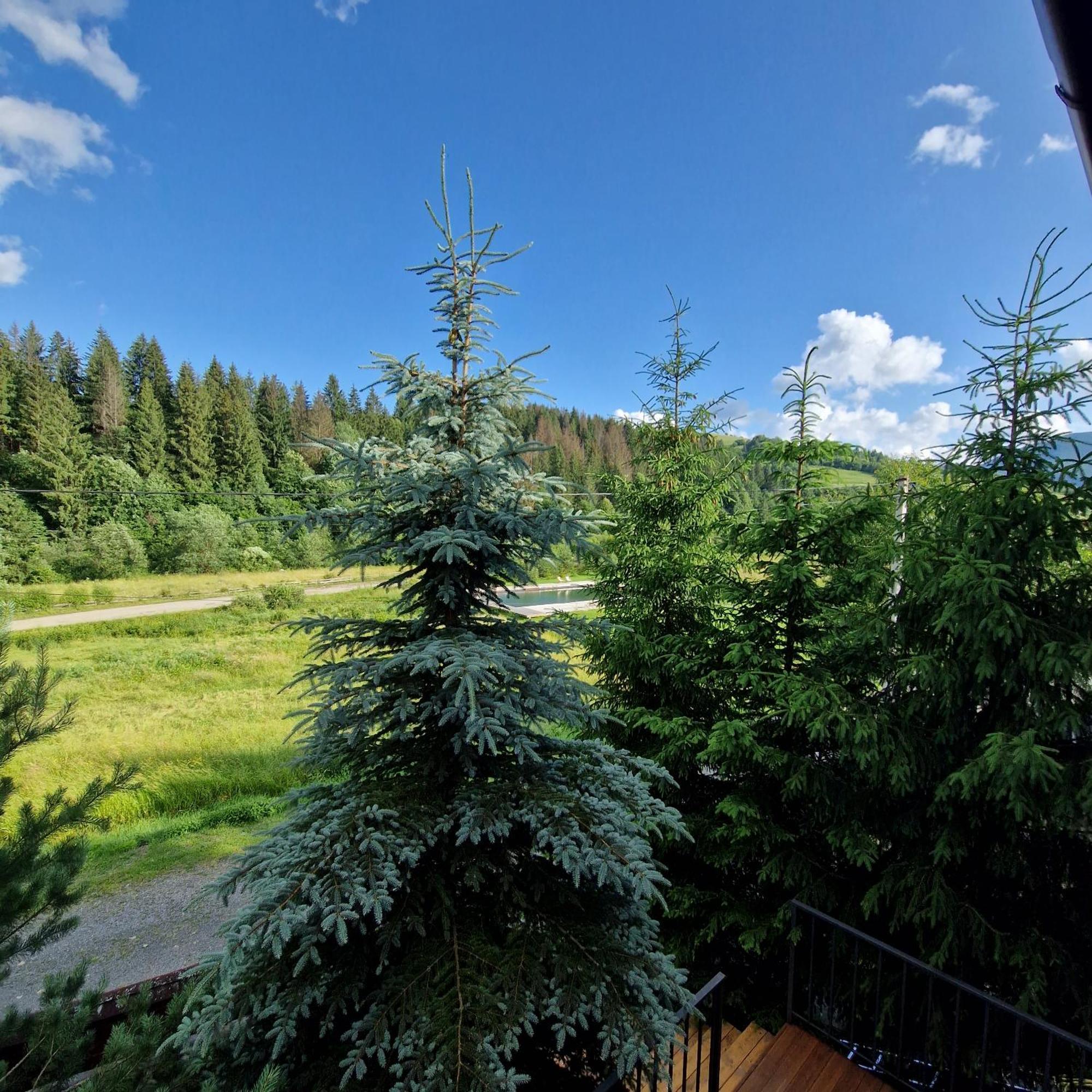 Villa Richka Esterno foto