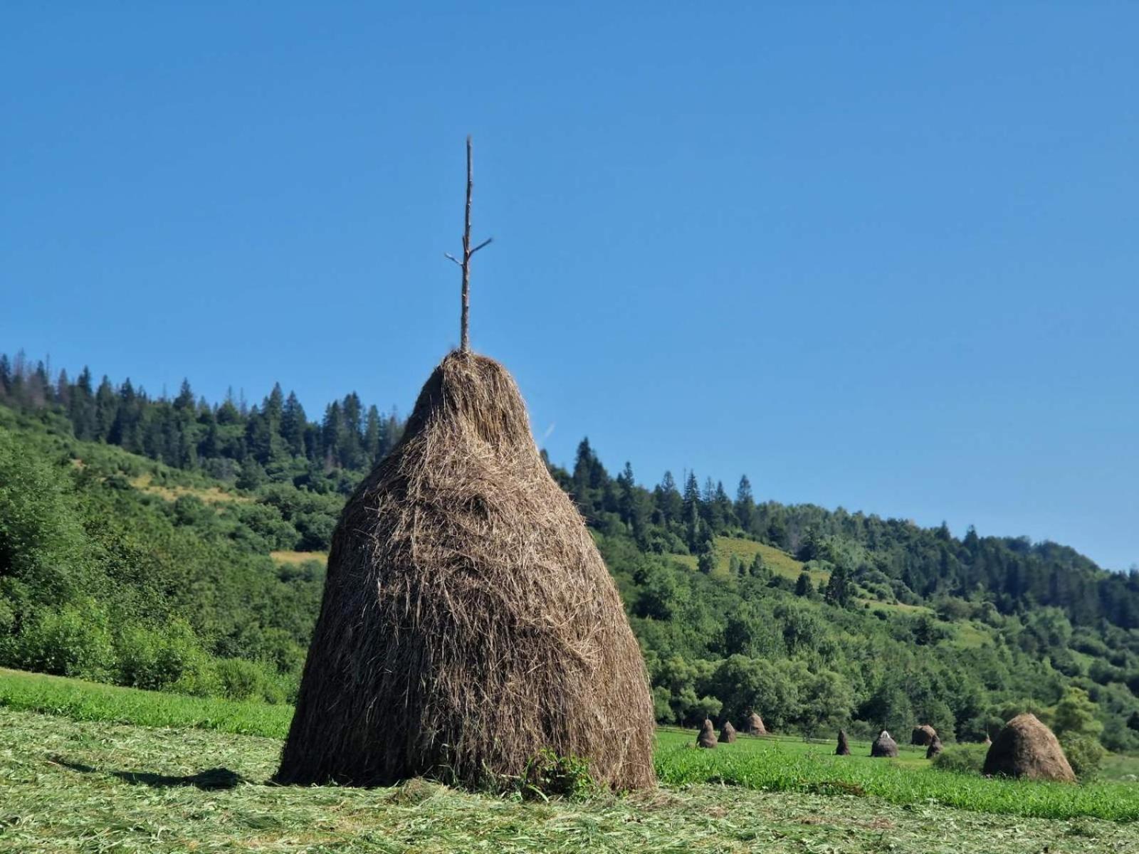 Villa Richka Esterno foto