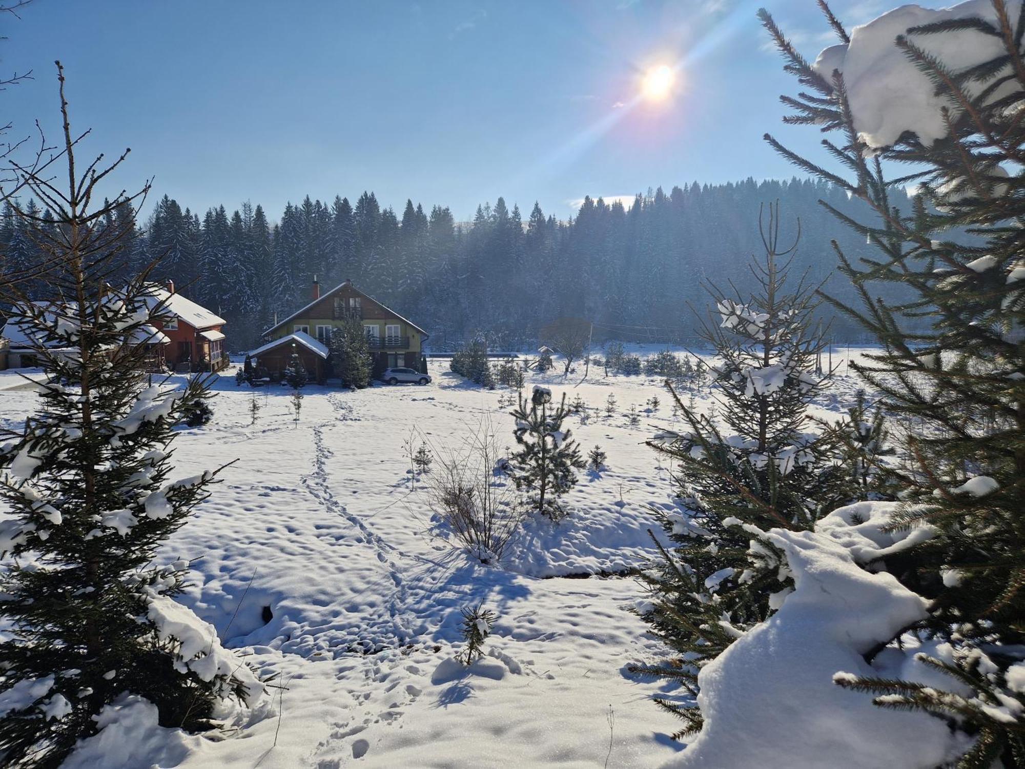 Villa Richka Esterno foto